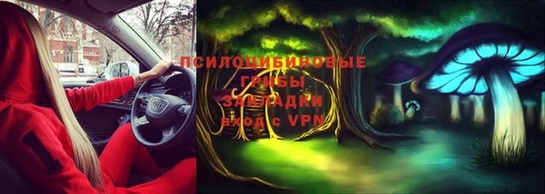 твердый Алзамай
