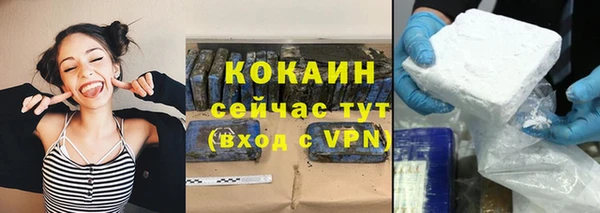 соль ск Алексин