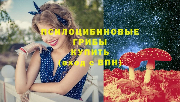 твердый Алзамай
