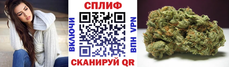 купить   Орлов  Каннабис планчик 